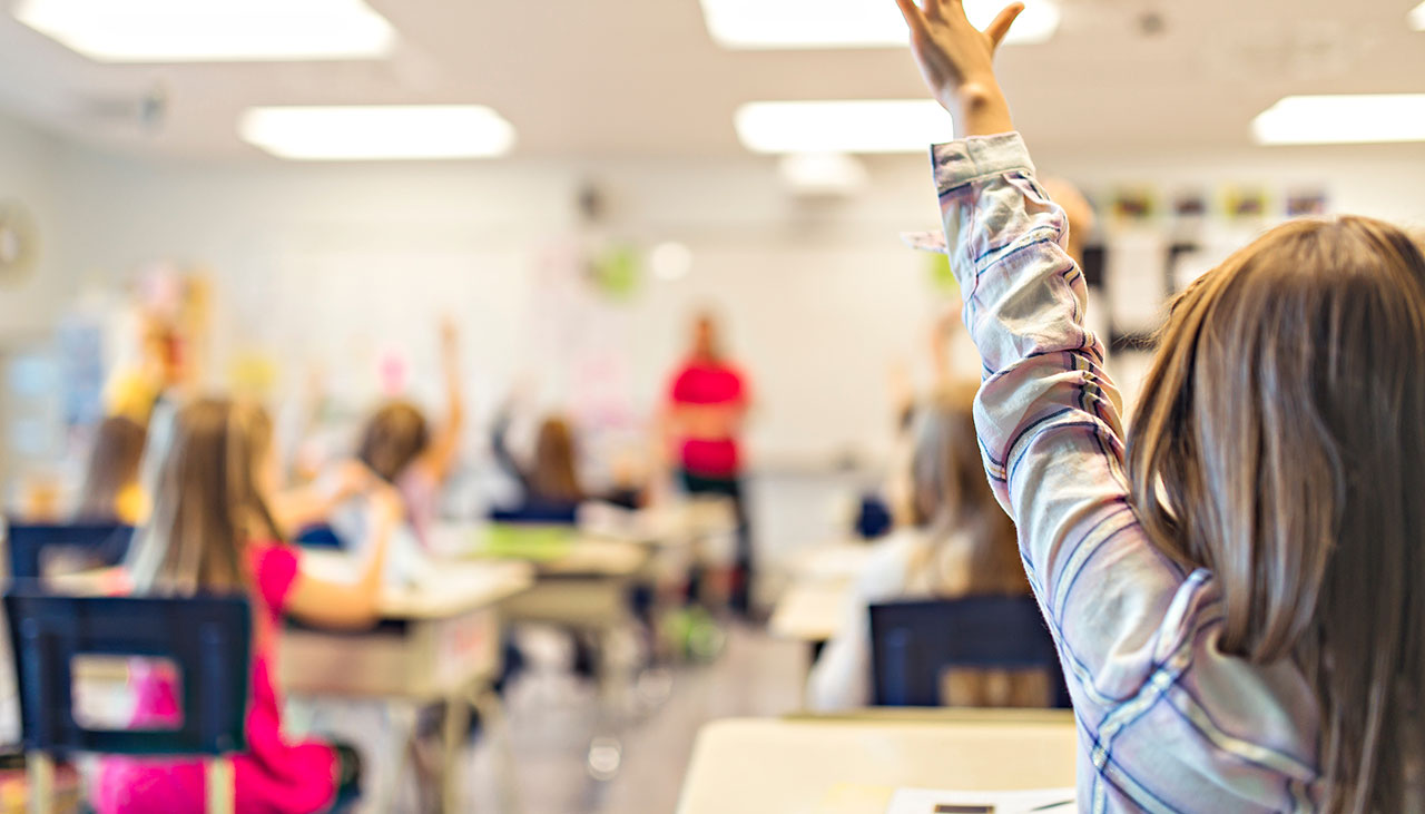 Les punaises de lit à l'école : comment les gérer efficacement pour assurer le bien-être des élèves