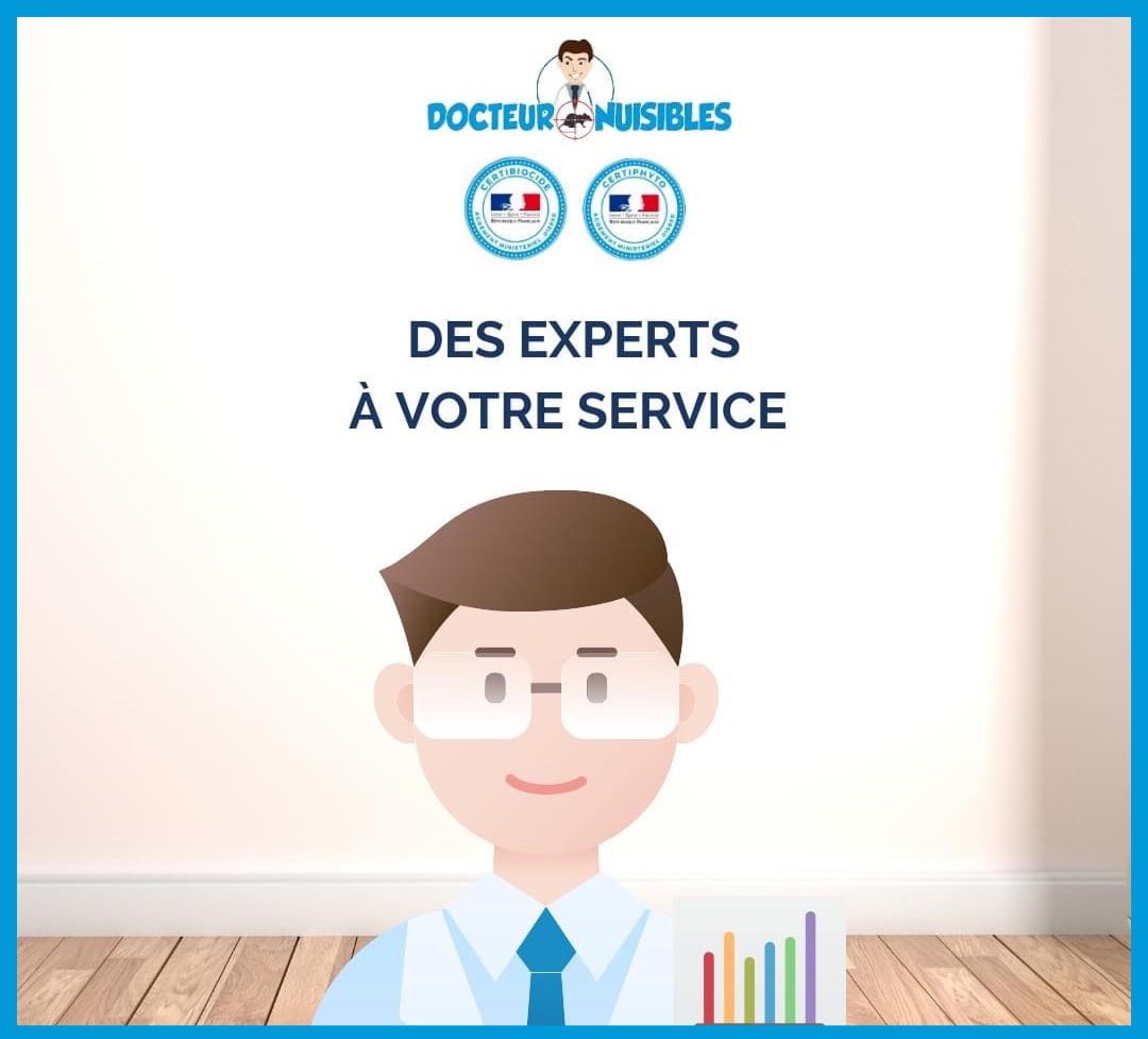 Des experts à votre service