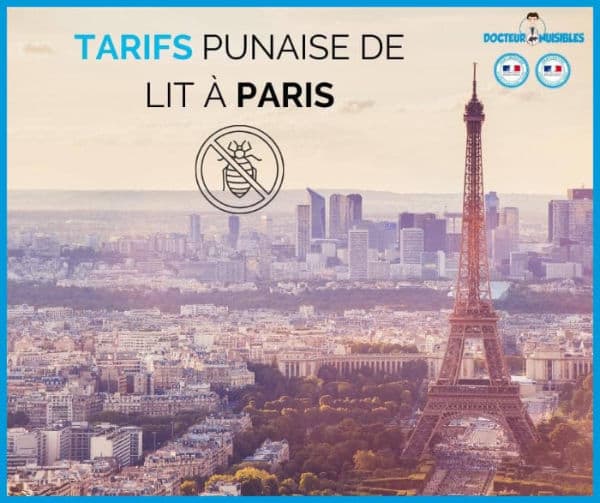 Tarif punaise de lit à paris